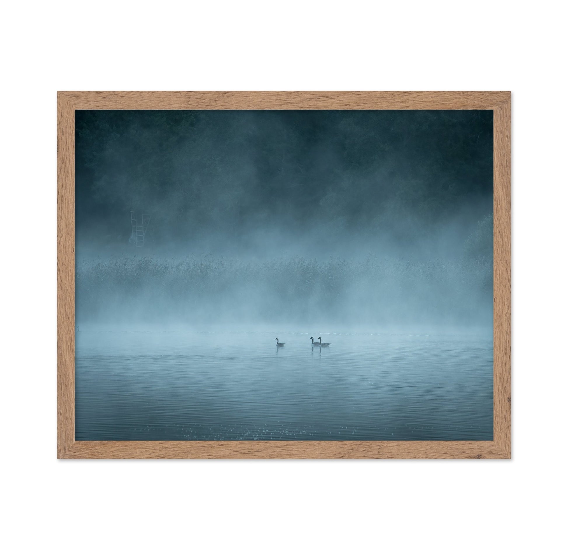 Misty Lake Birds