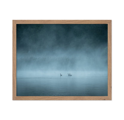 Misty Lake Birds