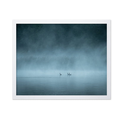 Misty Lake Birds