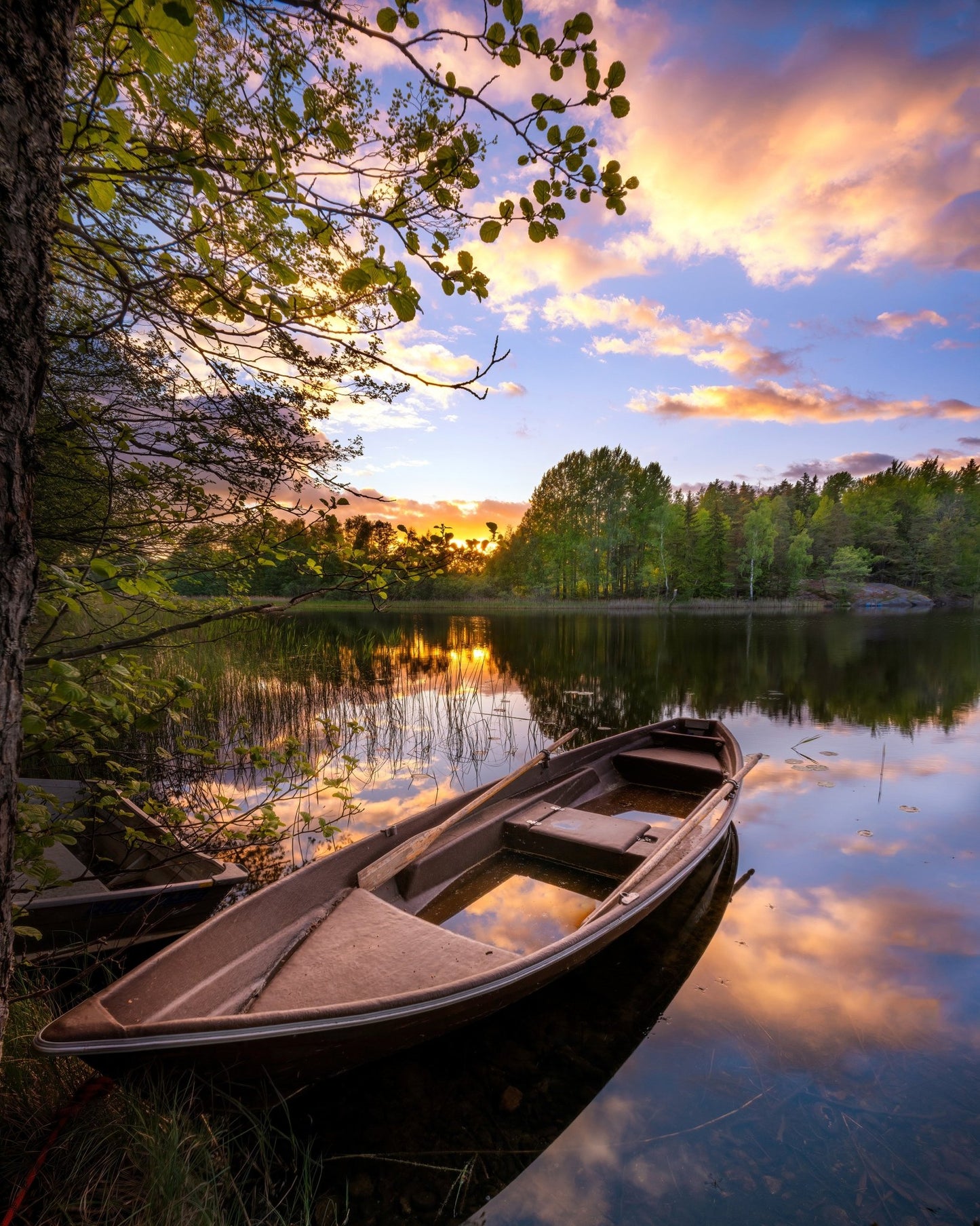 Boat Lake Sunset