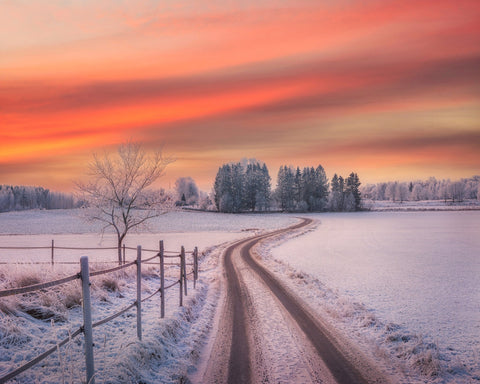 Winter Sunset Path