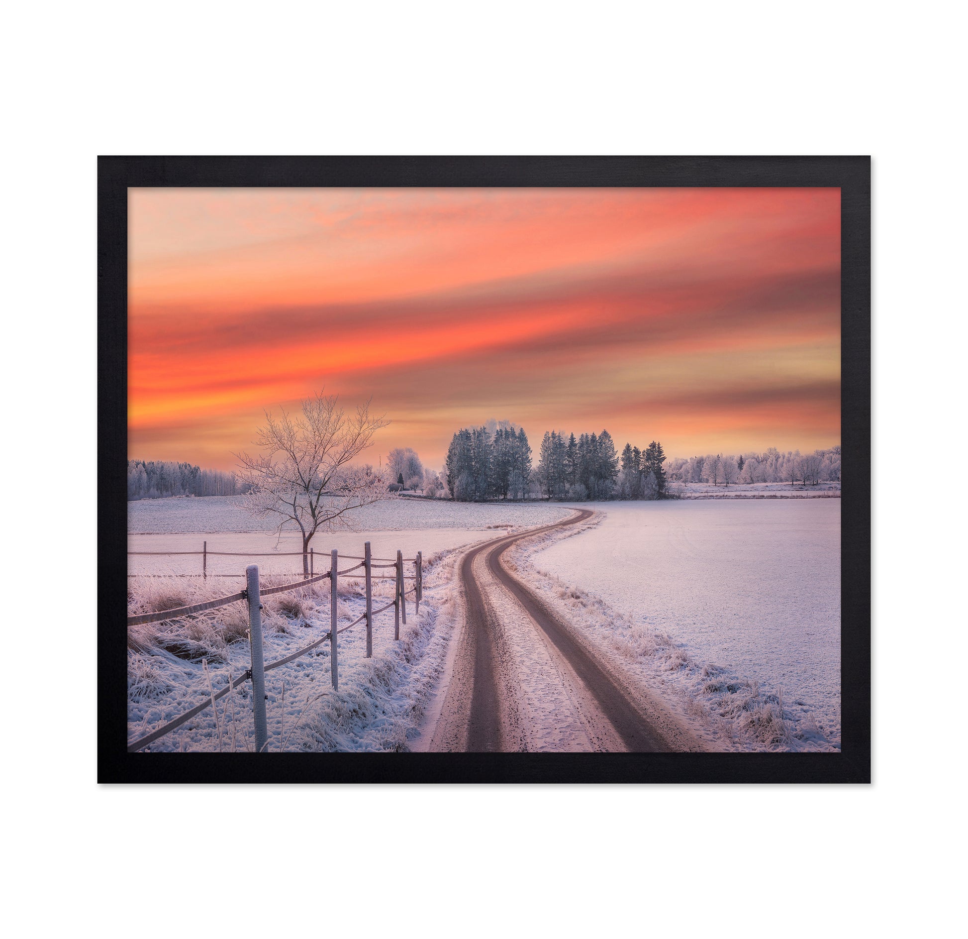 Winter Sunset Path