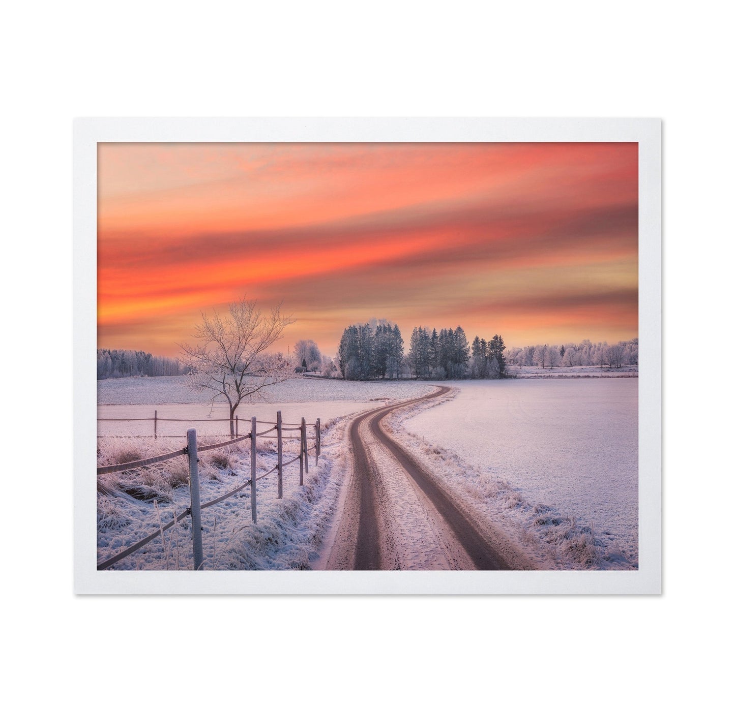 Winter Sunset Path