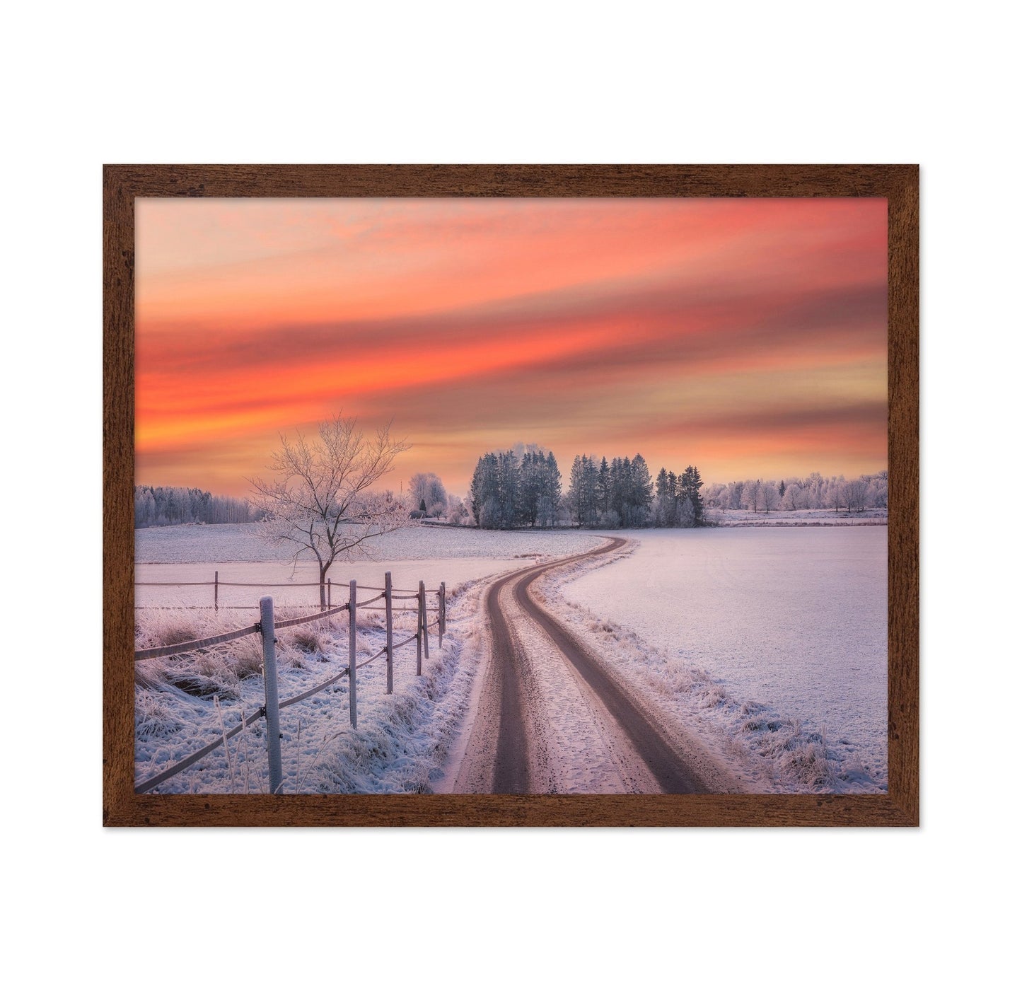 Winter Sunset Path