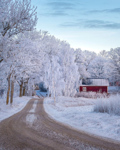 Snowy Country Road
