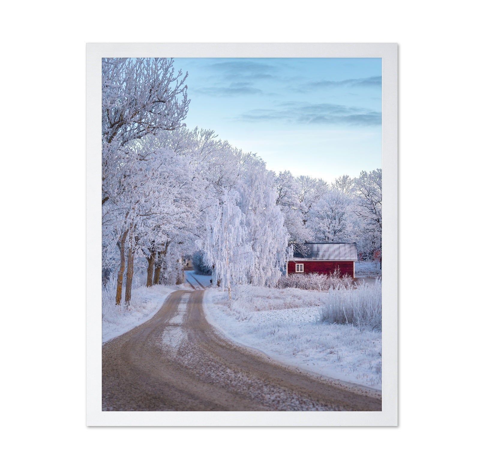 Snowy Country Road