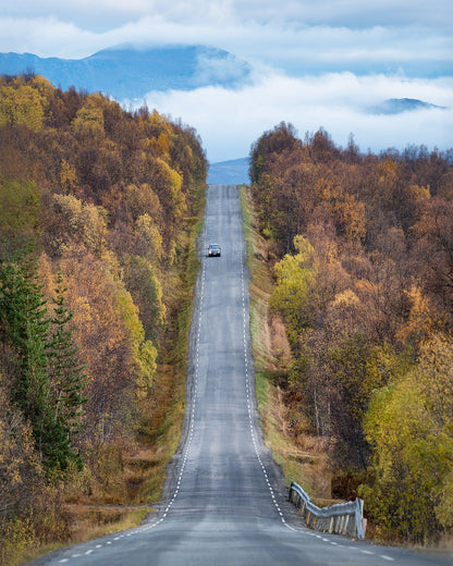 Autumn Road View