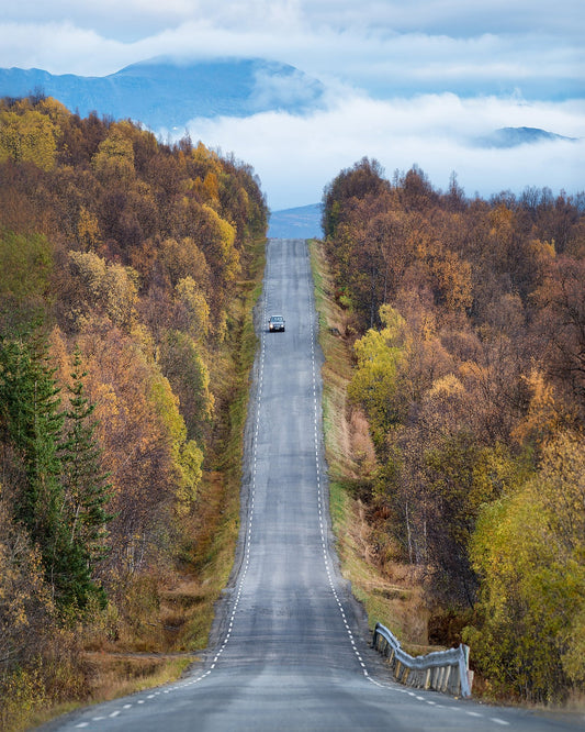 Autumn Road View