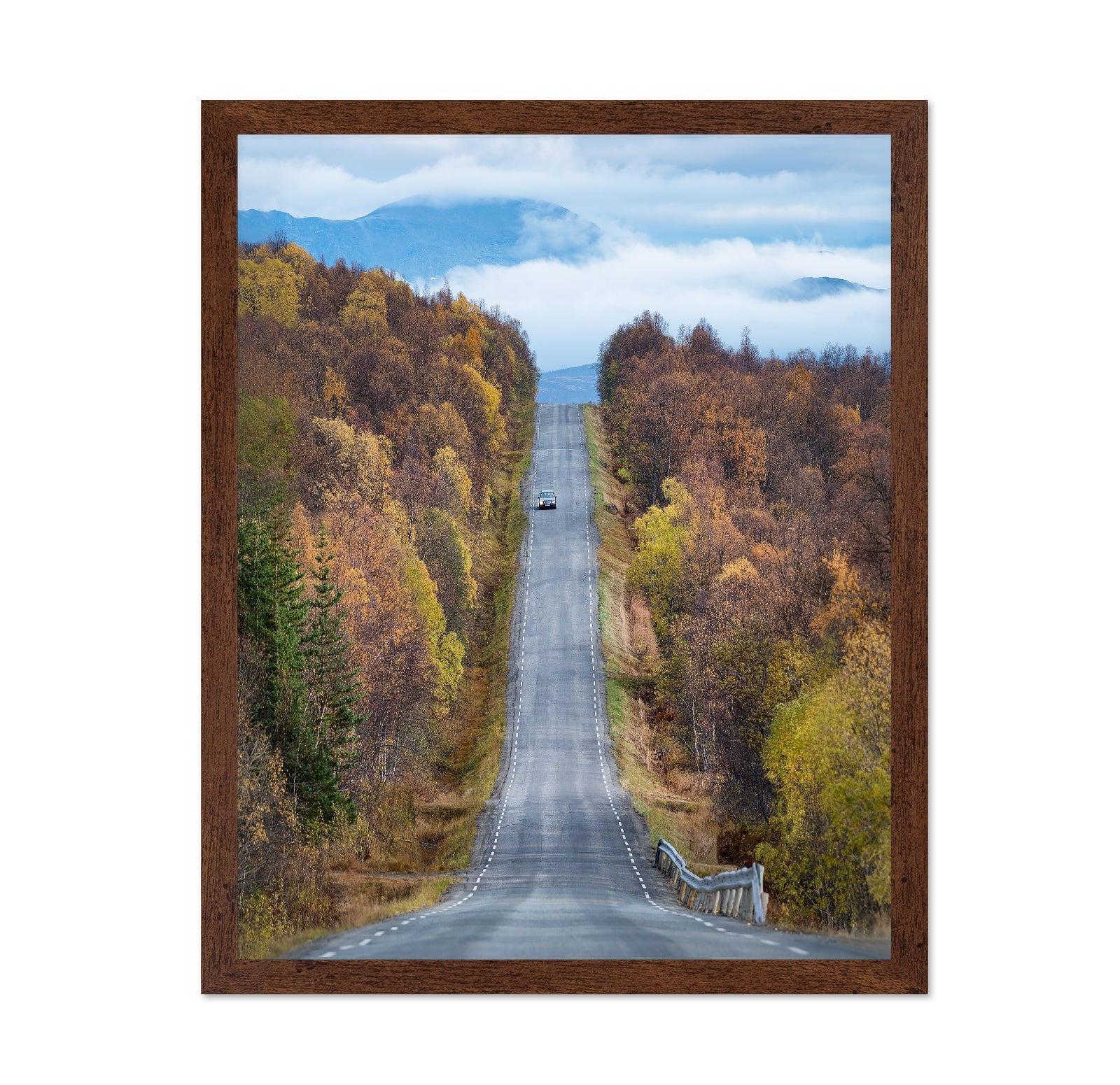Autumn Road View