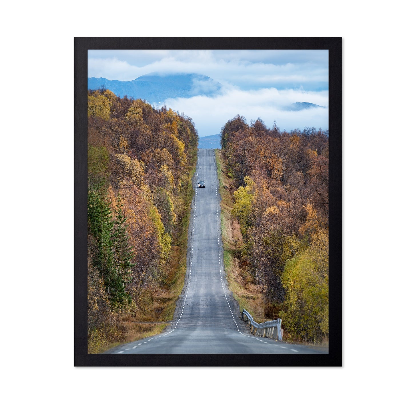 Autumn Road View