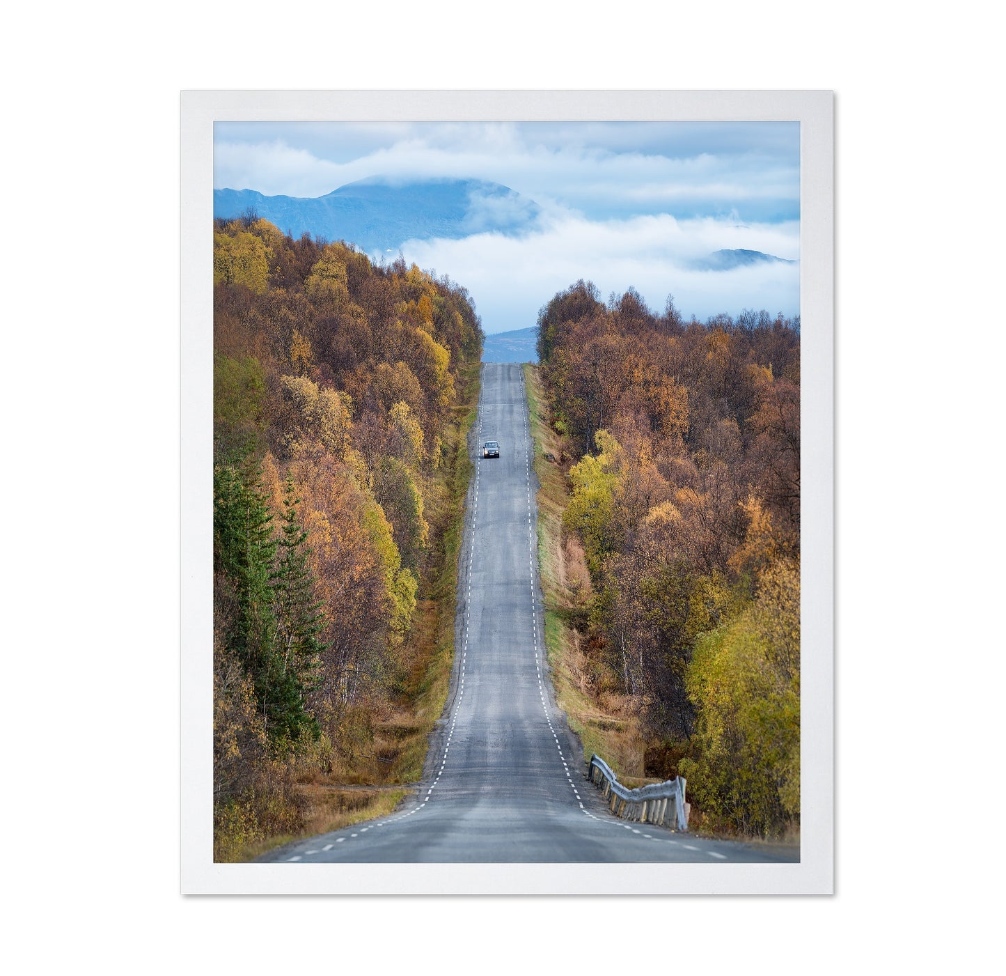 Autumn Road View