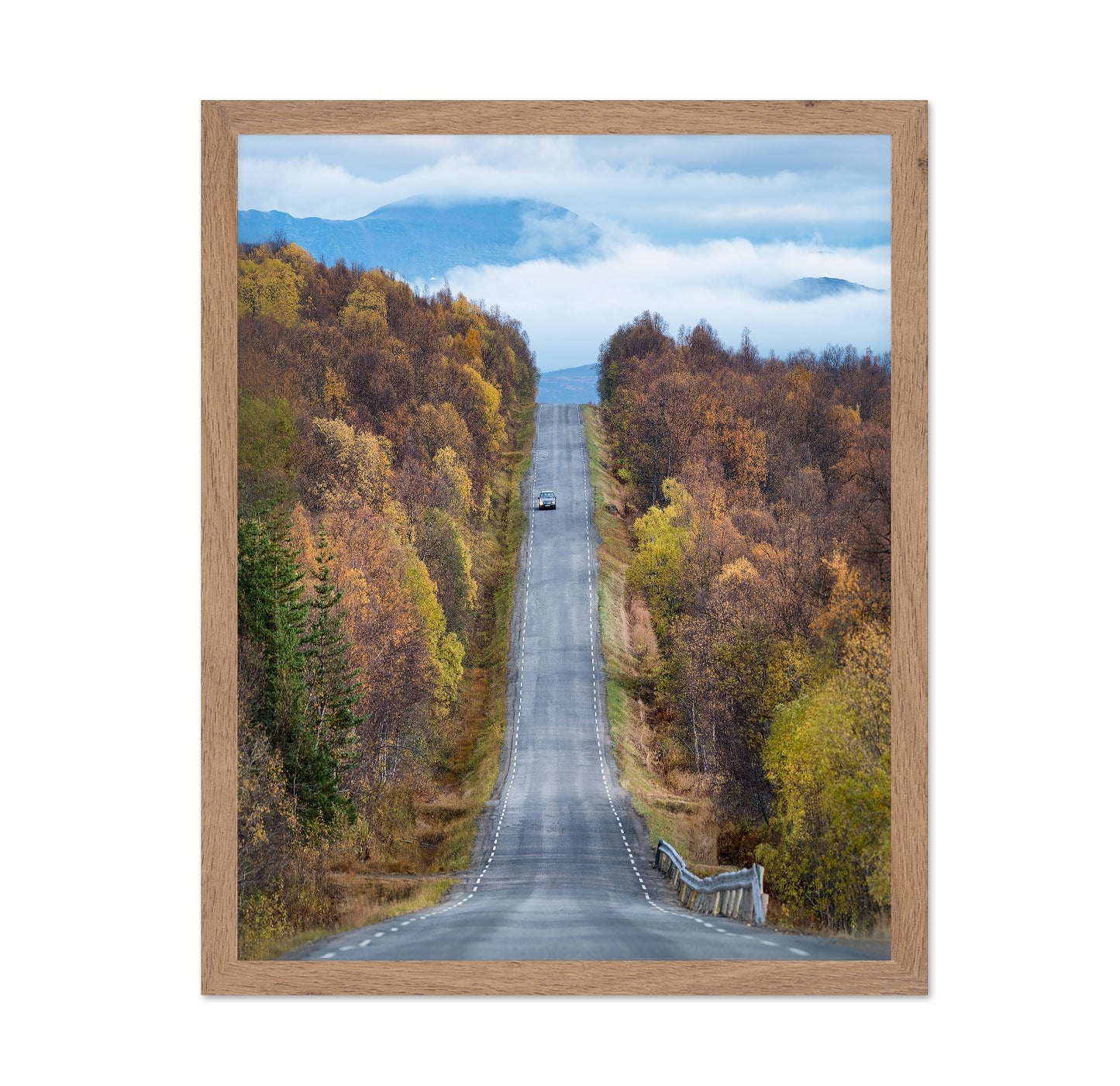 Autumn Road View