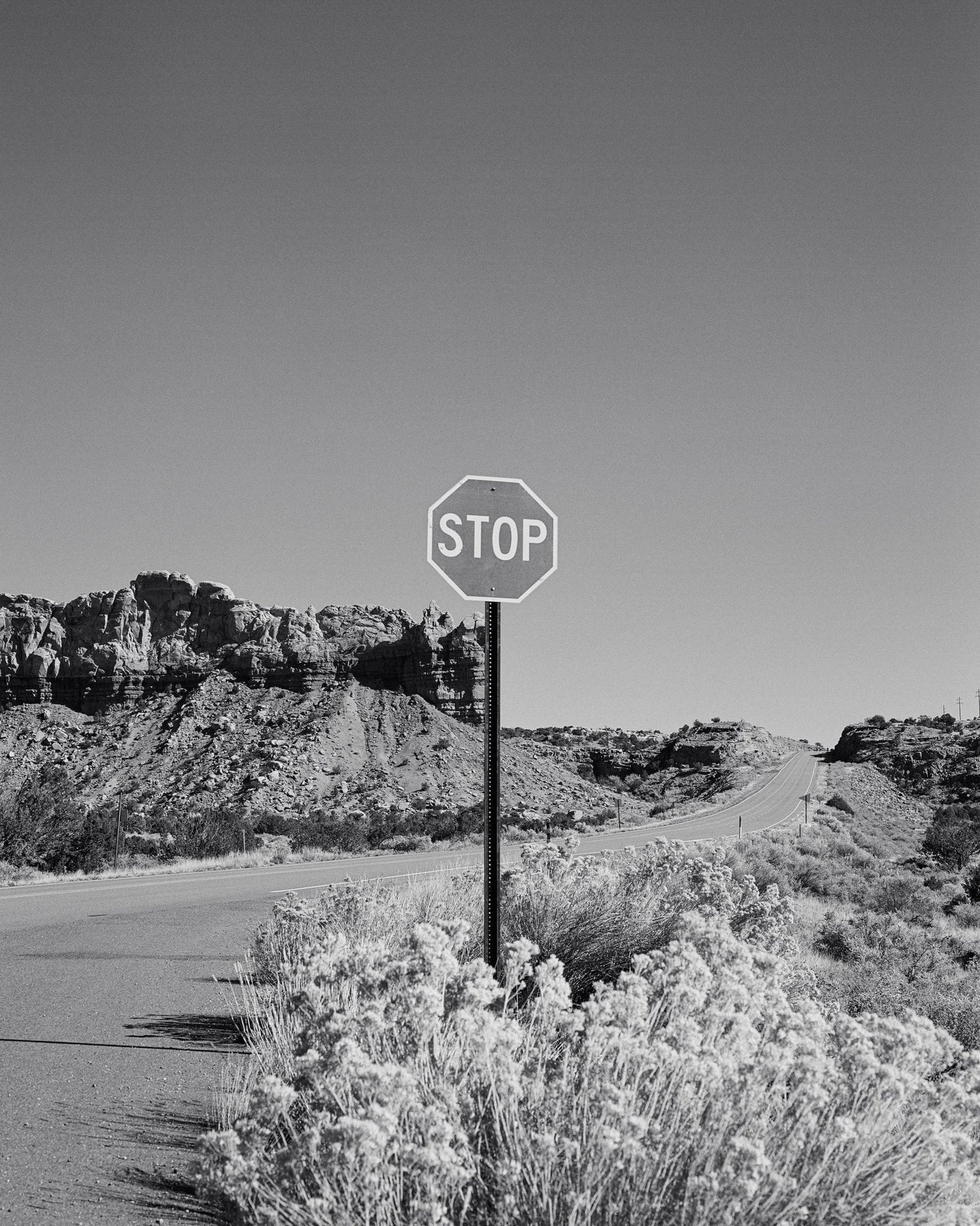 Black and White Desert Stop Sign