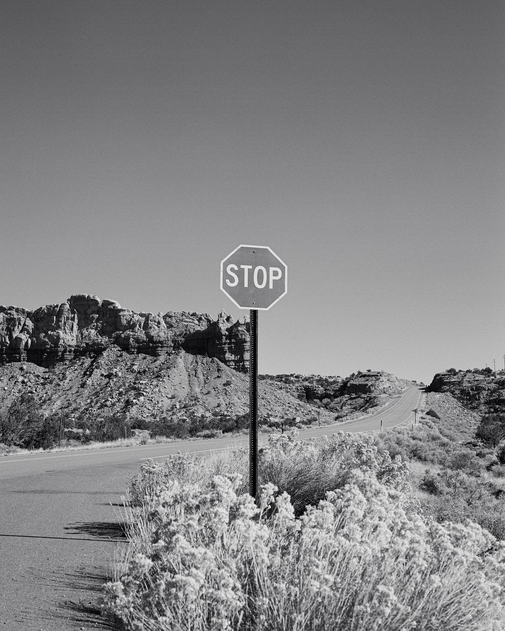 Black and White Desert Stop Sign