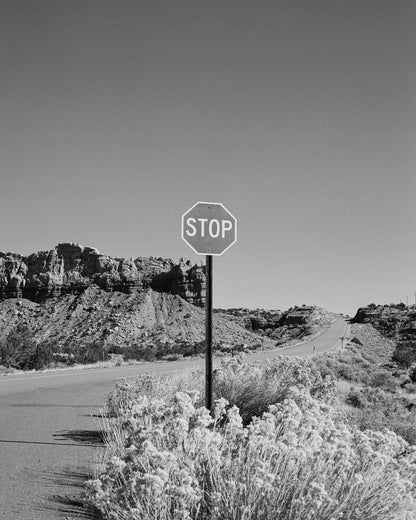 Black and White Desert Stop Sign