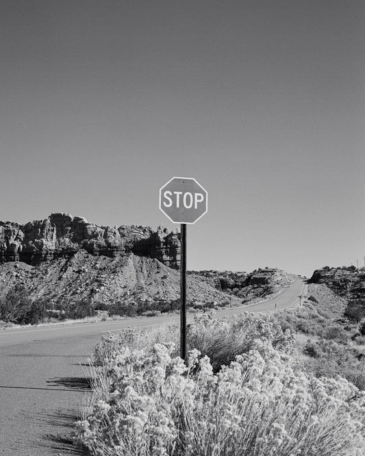 Black and White Desert Stop Sign