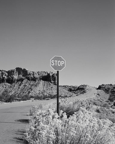 Black and White Desert Stop Sign