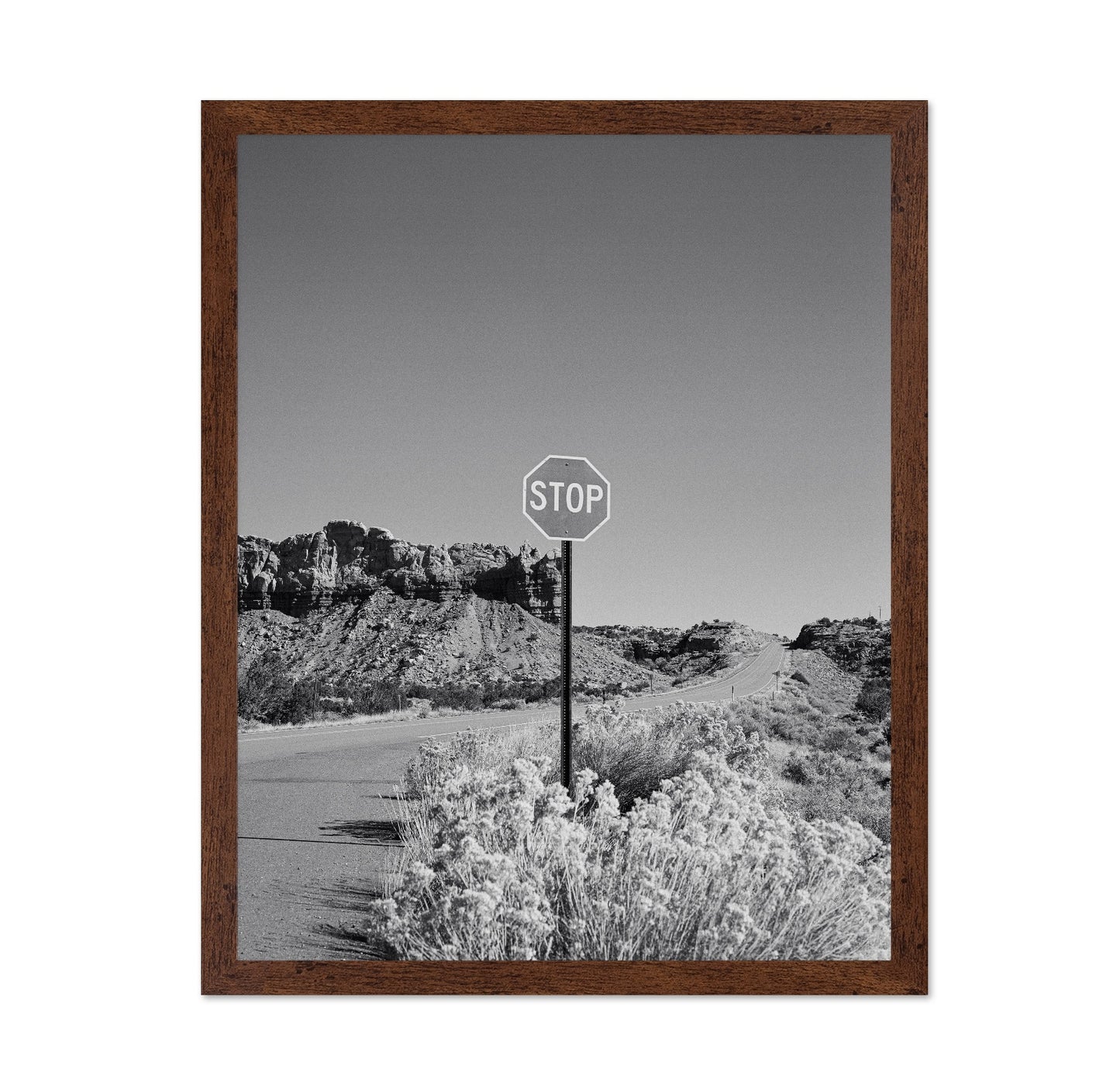 Black and White Desert Stop Sign