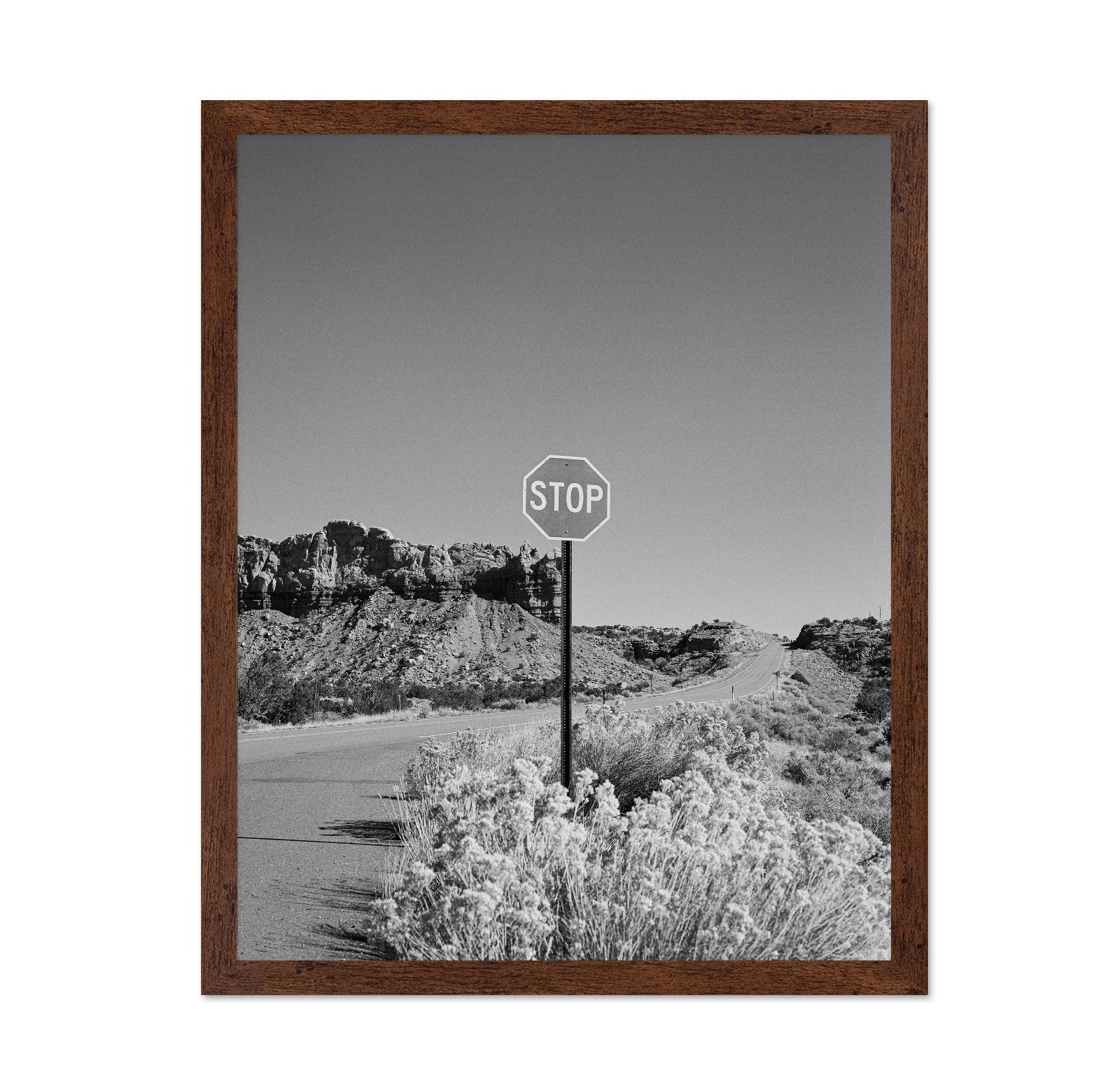 Black and White Desert Stop Sign