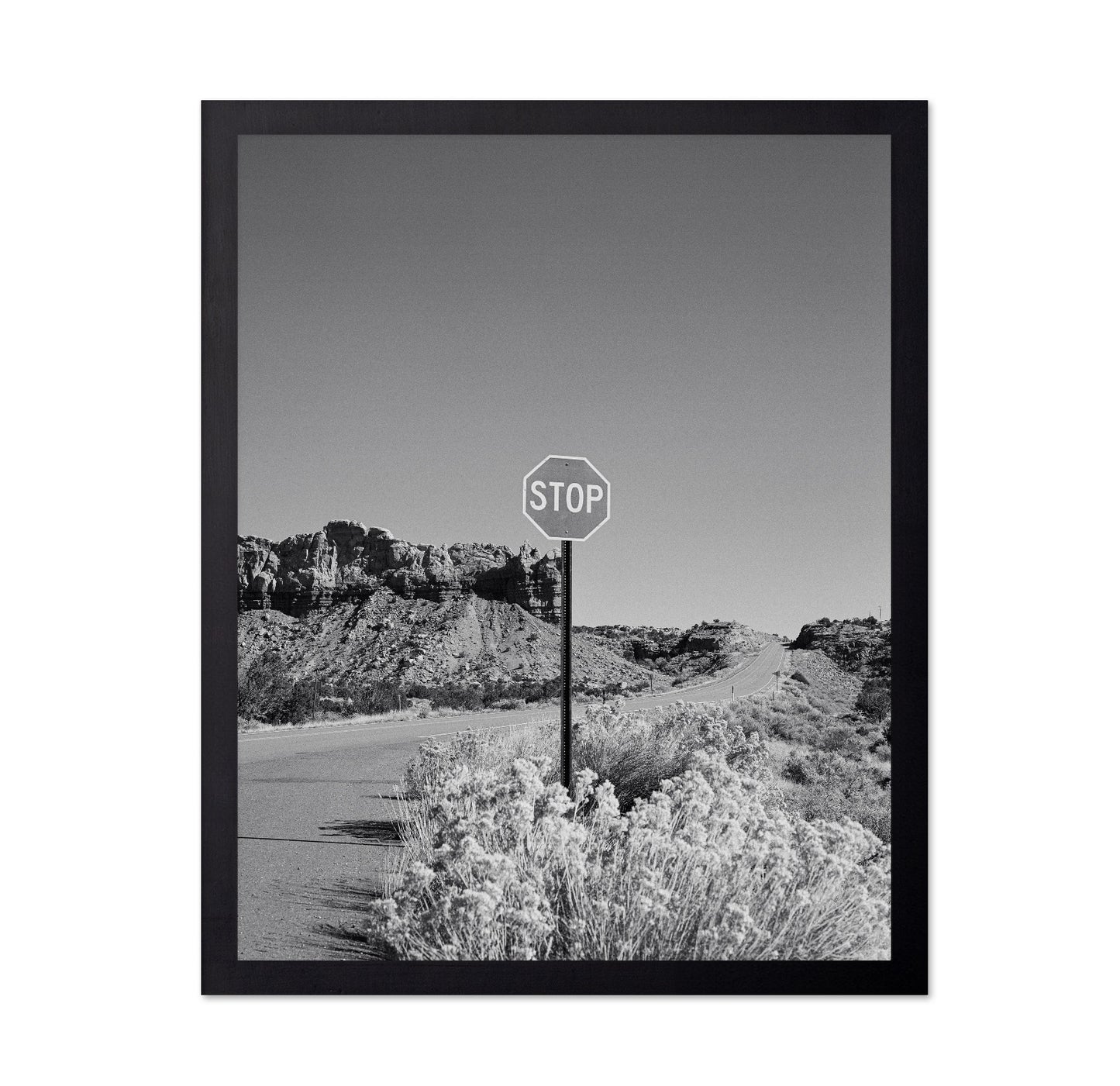Black and White Desert Stop Sign