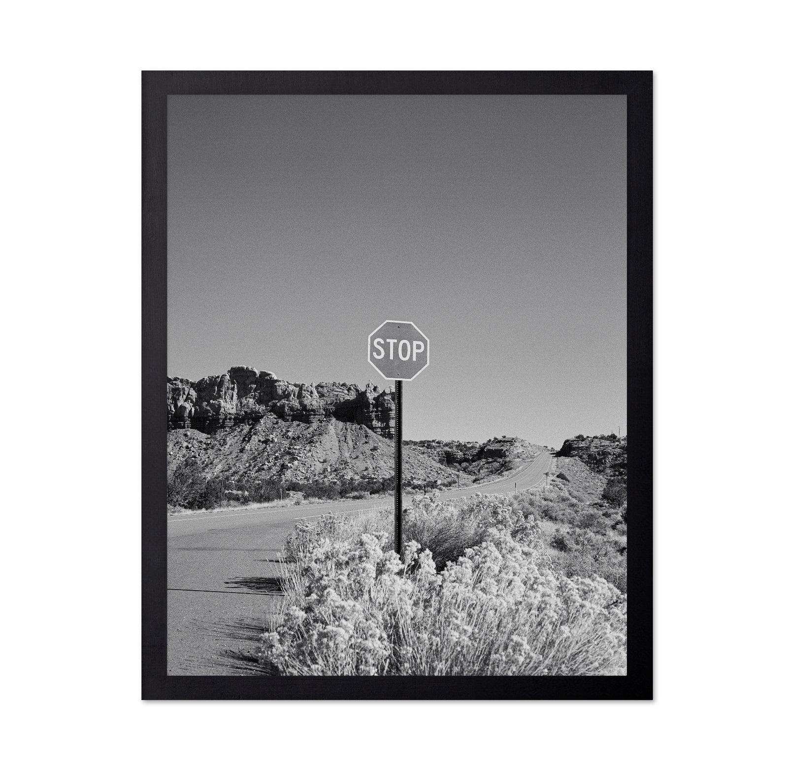 Black and White Desert Stop Sign