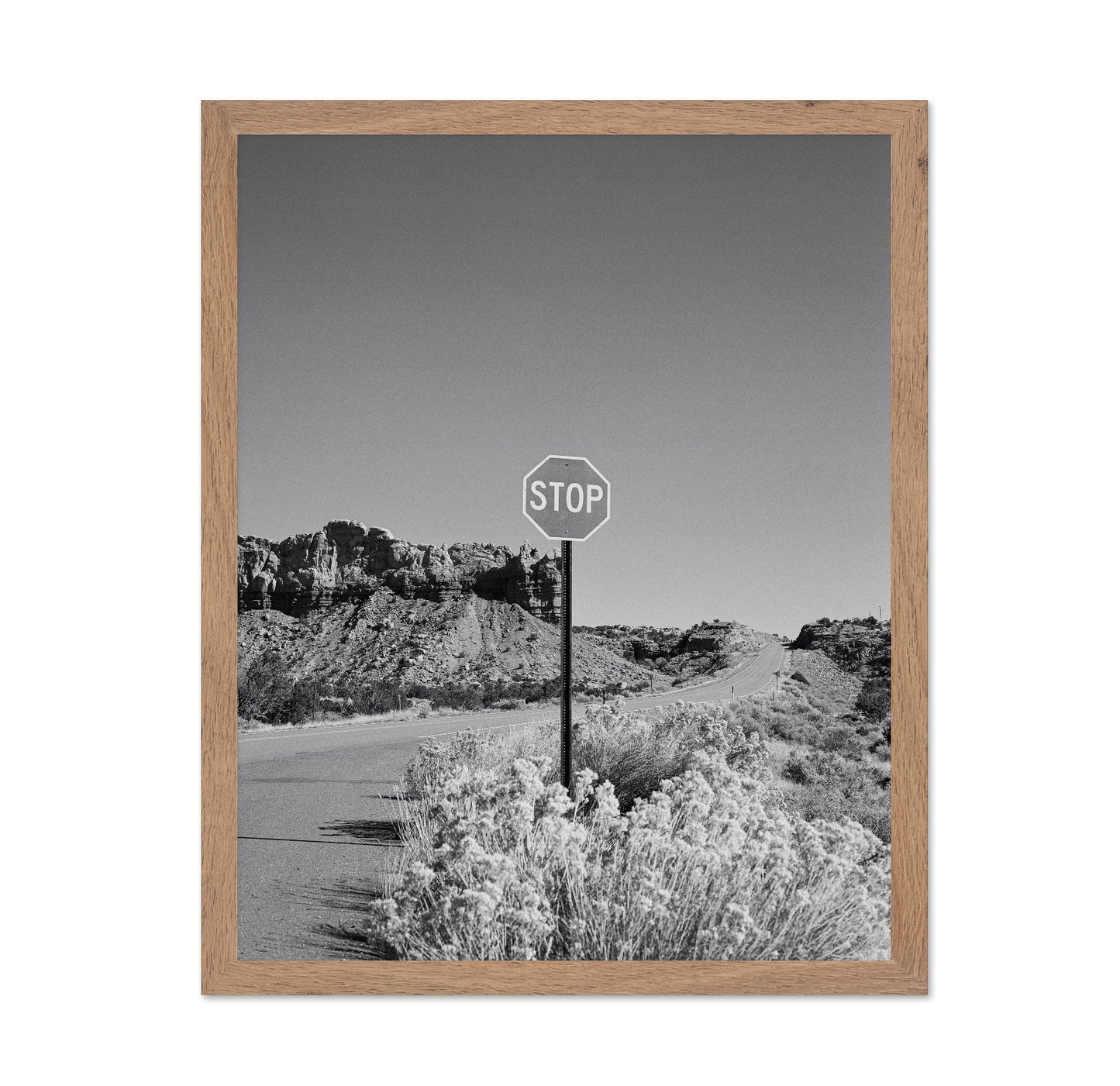 Black and White Desert Stop Sign
