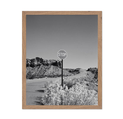 Black and White Desert Stop Sign