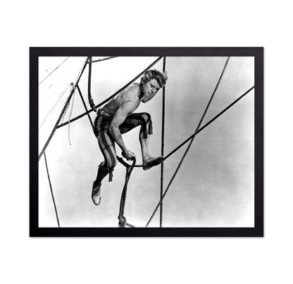 The Crimson Pirate 1952 Burt Lancaster No2