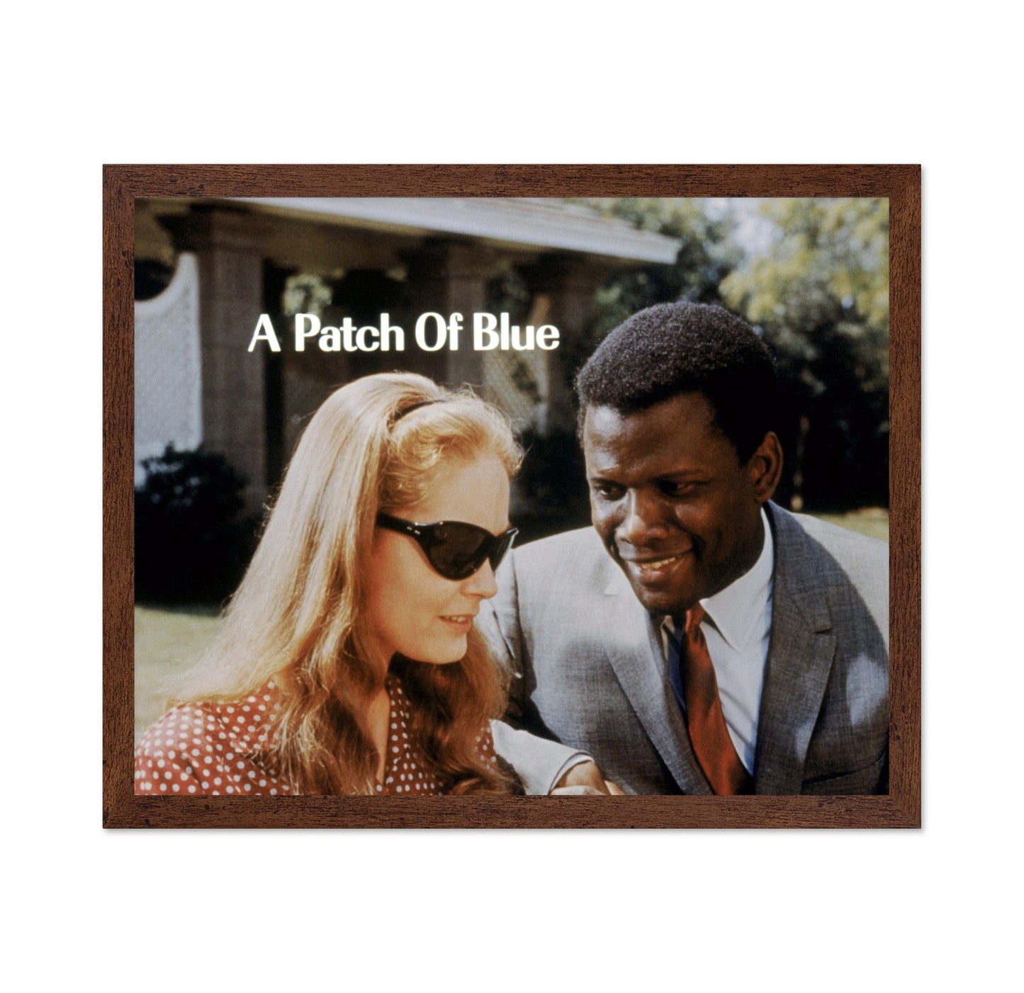 A Patch of Blue 1965 Elizabeth Hartman No1