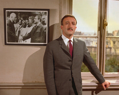 A Shot In The Dark 1964 Peter Sellers No4