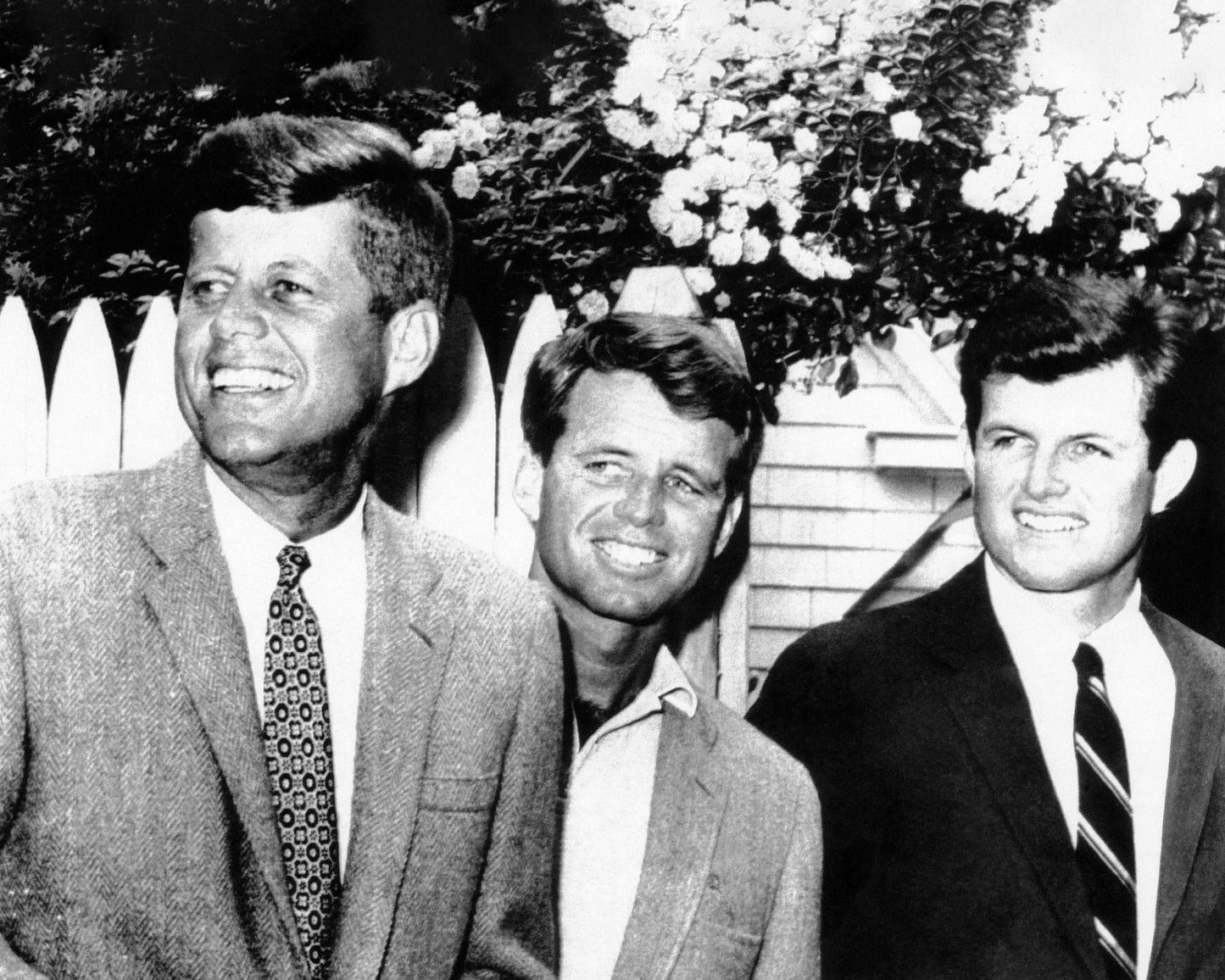 John F. Kennedy, Robert Kennedy & Edward Kennedy 1960