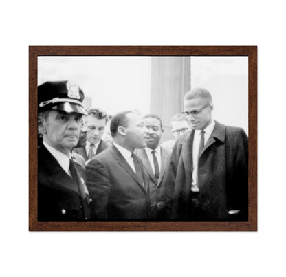 Martin Luther King Jr. & Malcolm X 1964