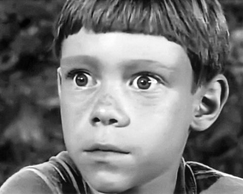 Twilight Zone 1961 Billy Mumy