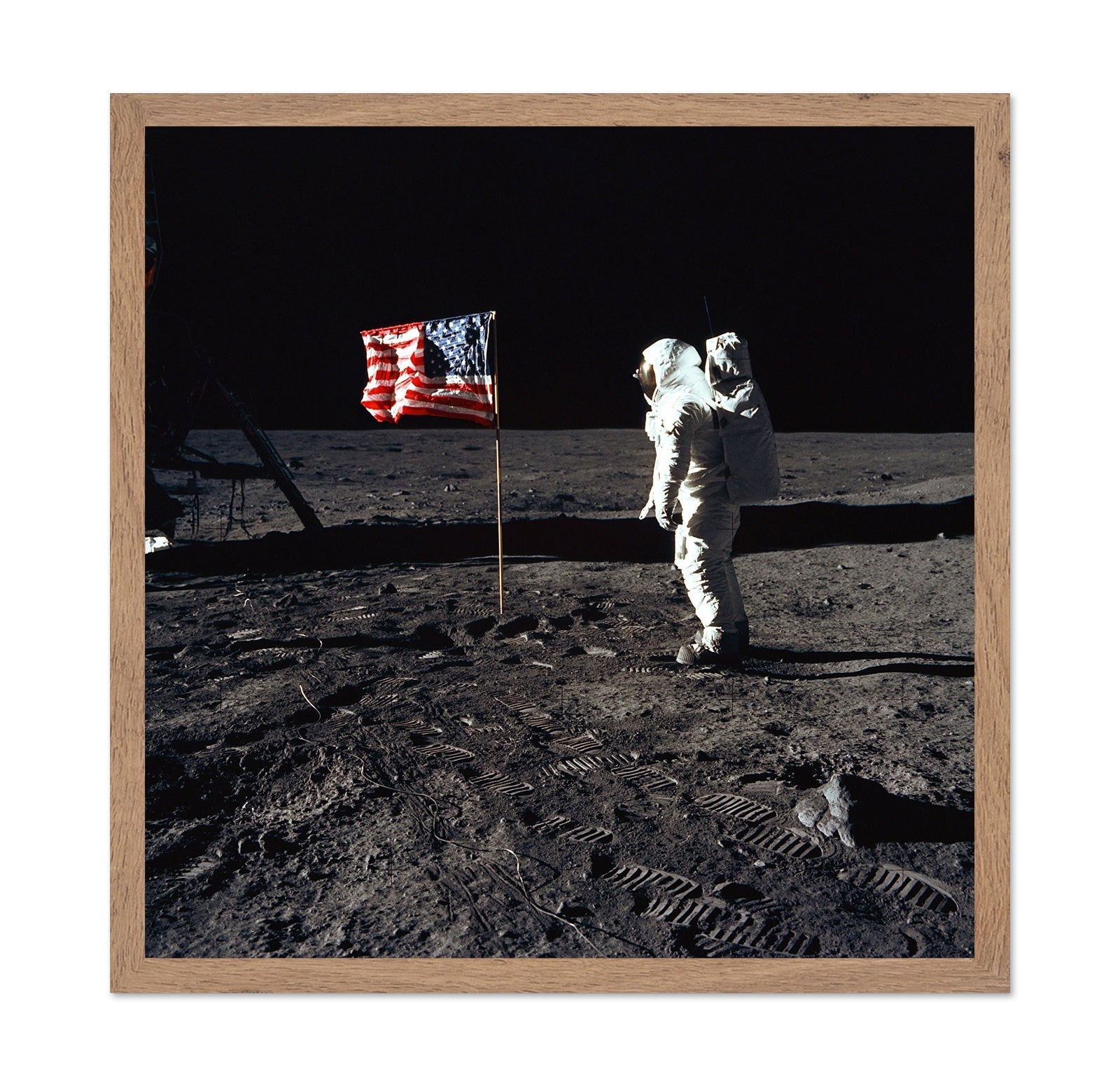 Apollo 11 Moon Landing 1969 Buzz Aldrin