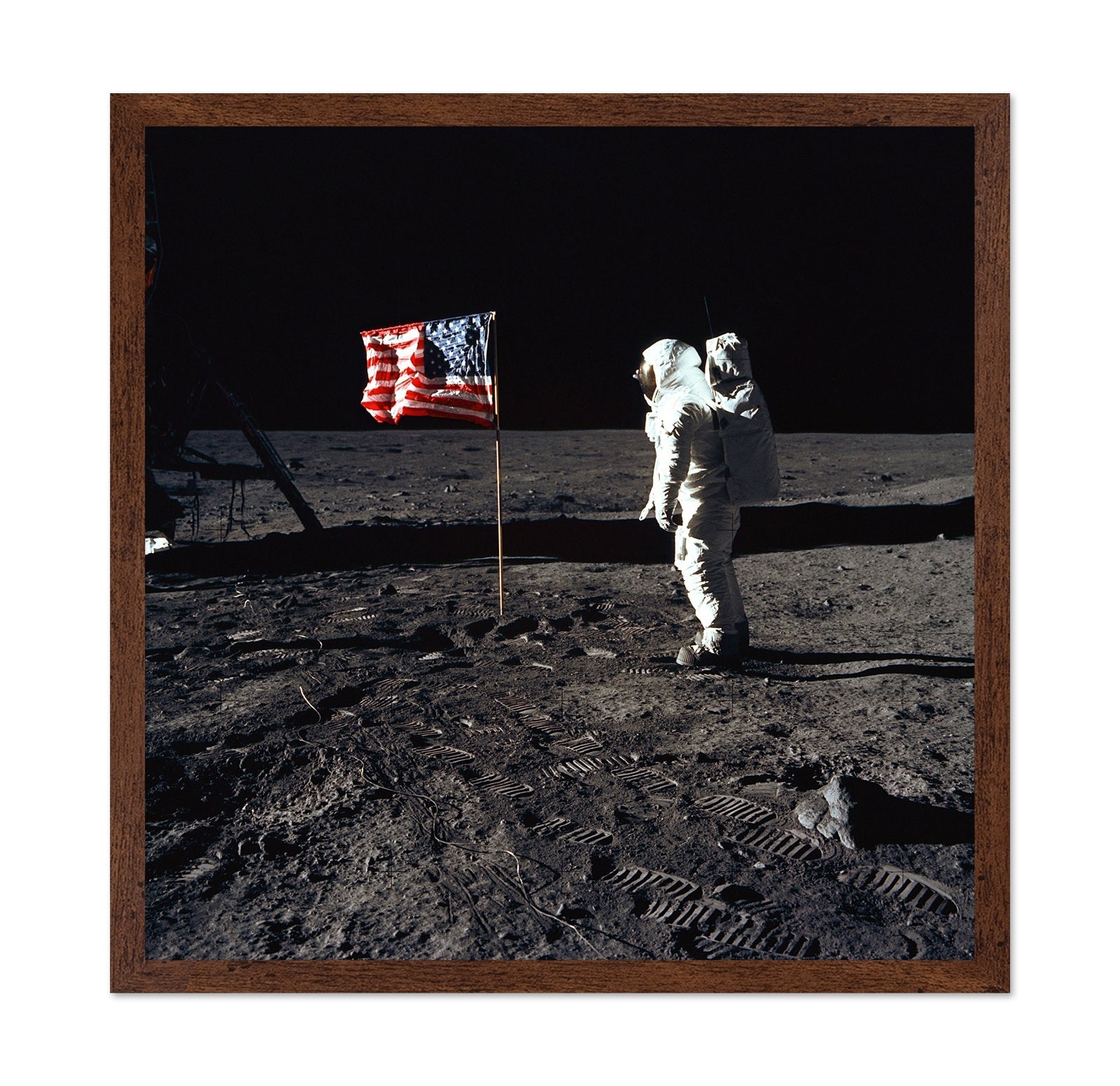 Apollo 11 Moon Landing 1969 Buzz Aldrin