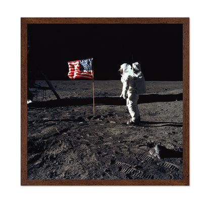 Apollo 11 Moon Landing 1969 Buzz Aldrin