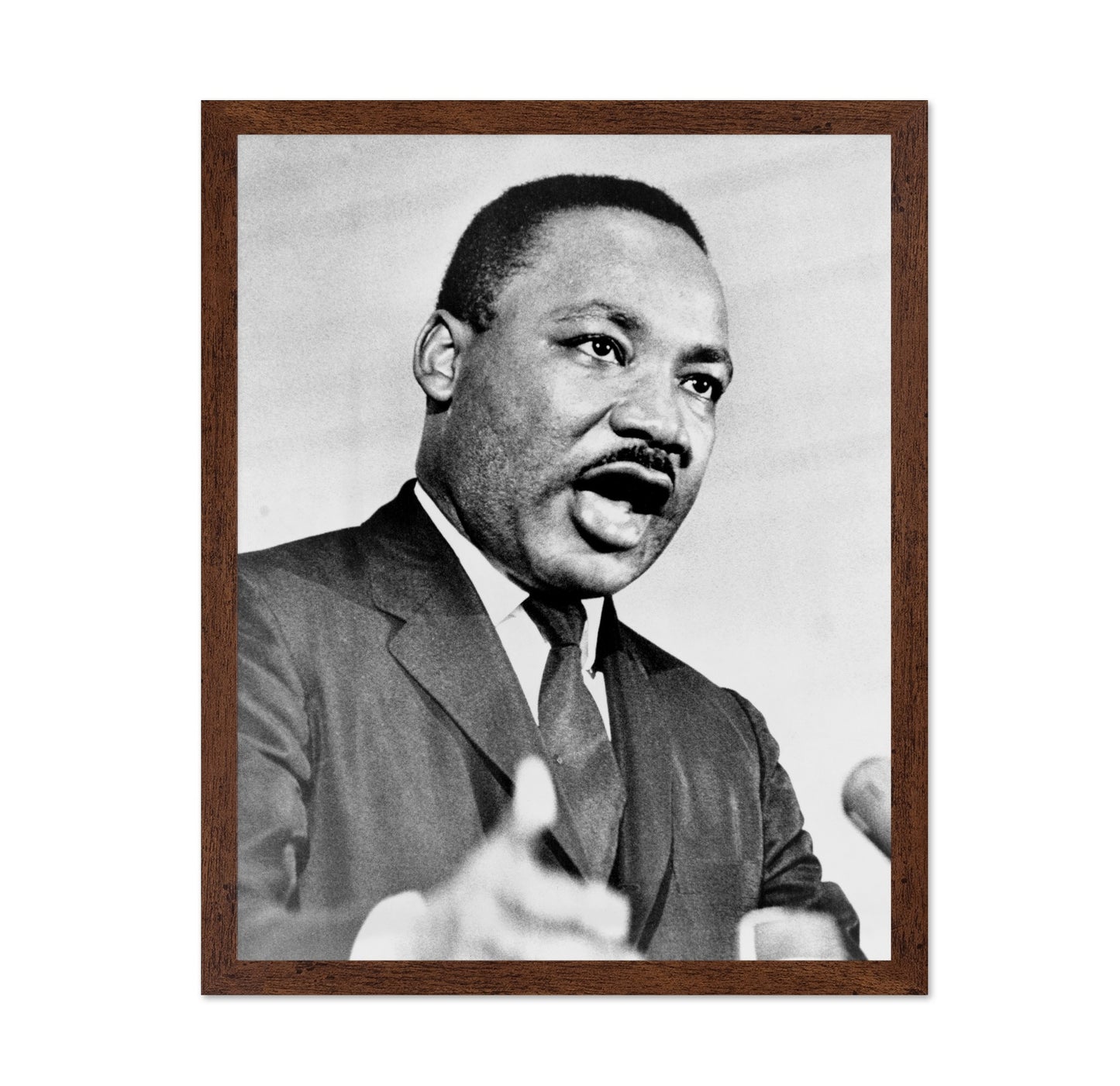 Martin Luther King Jr. 1965 No2