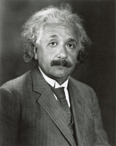 Albert Einstein 1931