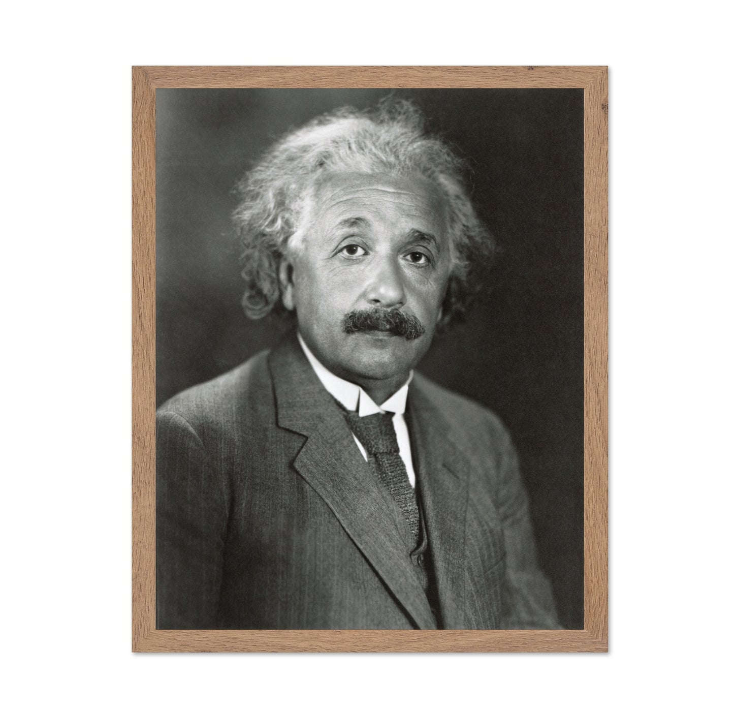 Albert Einstein 1931