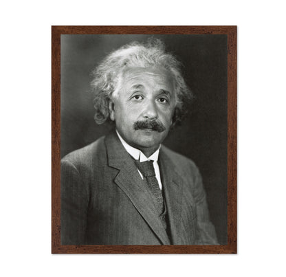 Albert Einstein 1931