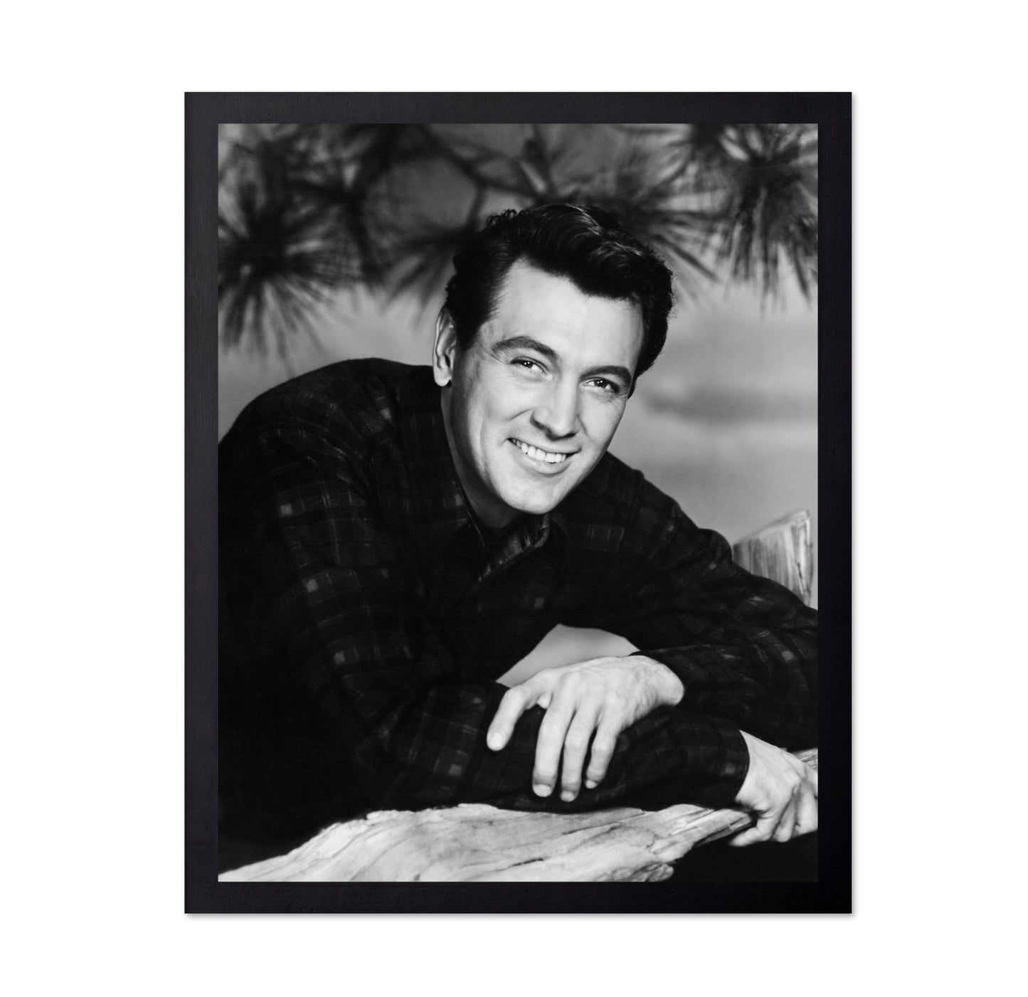 All That Heaven Allows 1955 Rock Hudson No2
