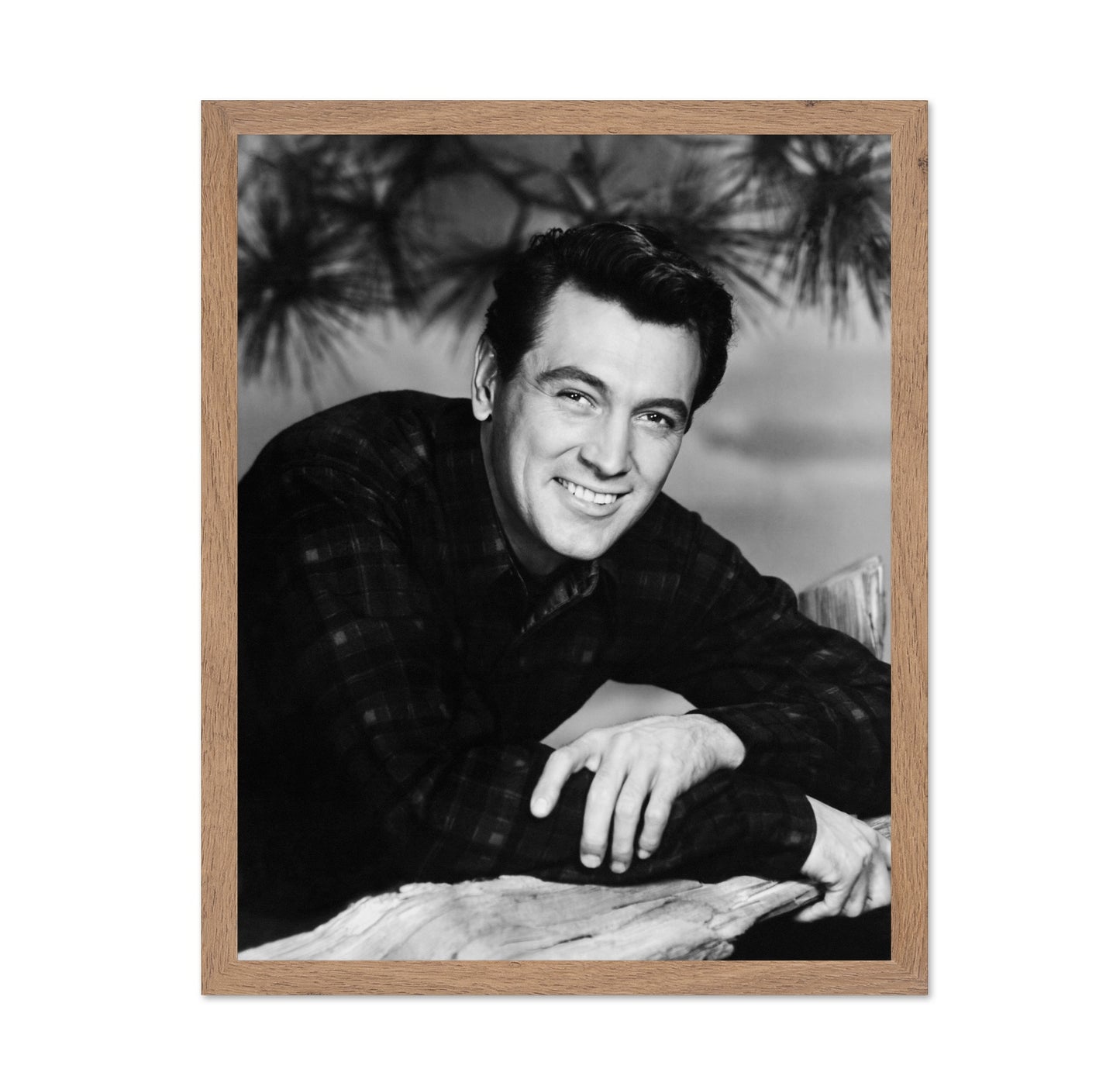 All That Heaven Allows 1955 Rock Hudson No2