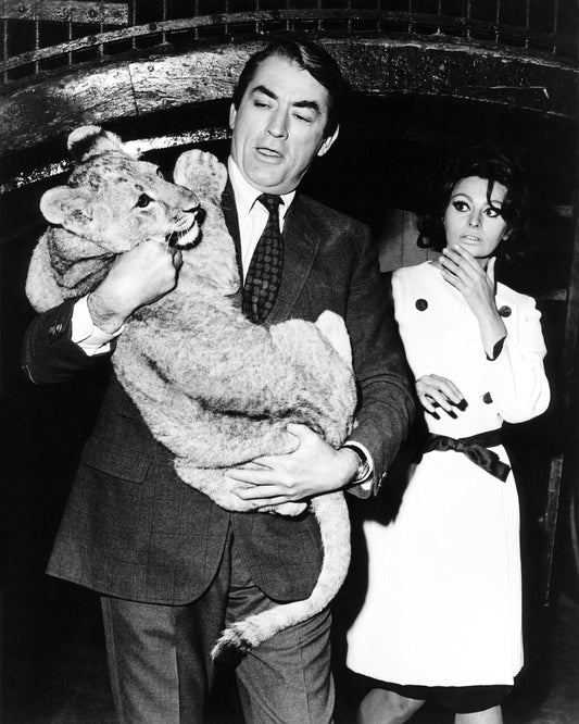 Arabesque 1966 Gregory Peck