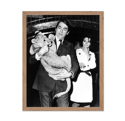 Arabesque 1966 Gregory Peck