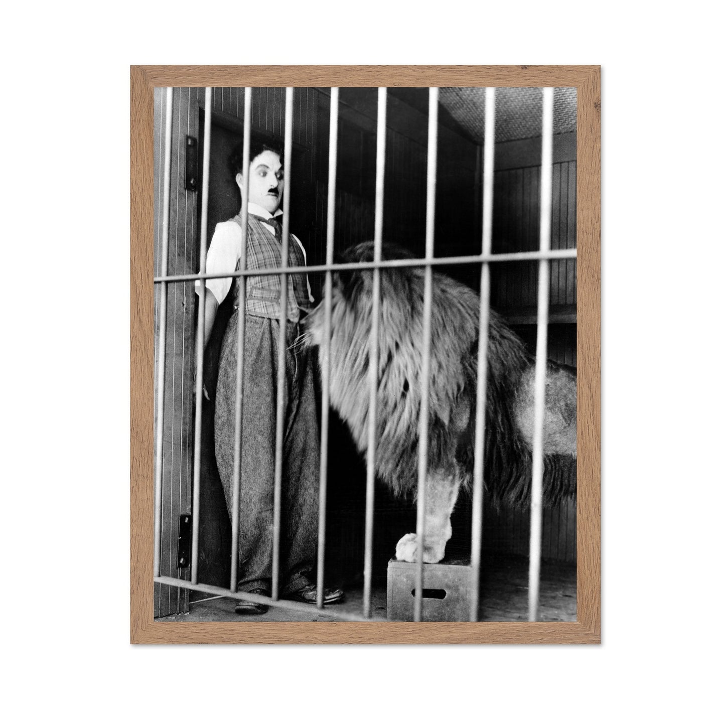 The Circus 1928 Charlie Chaplin