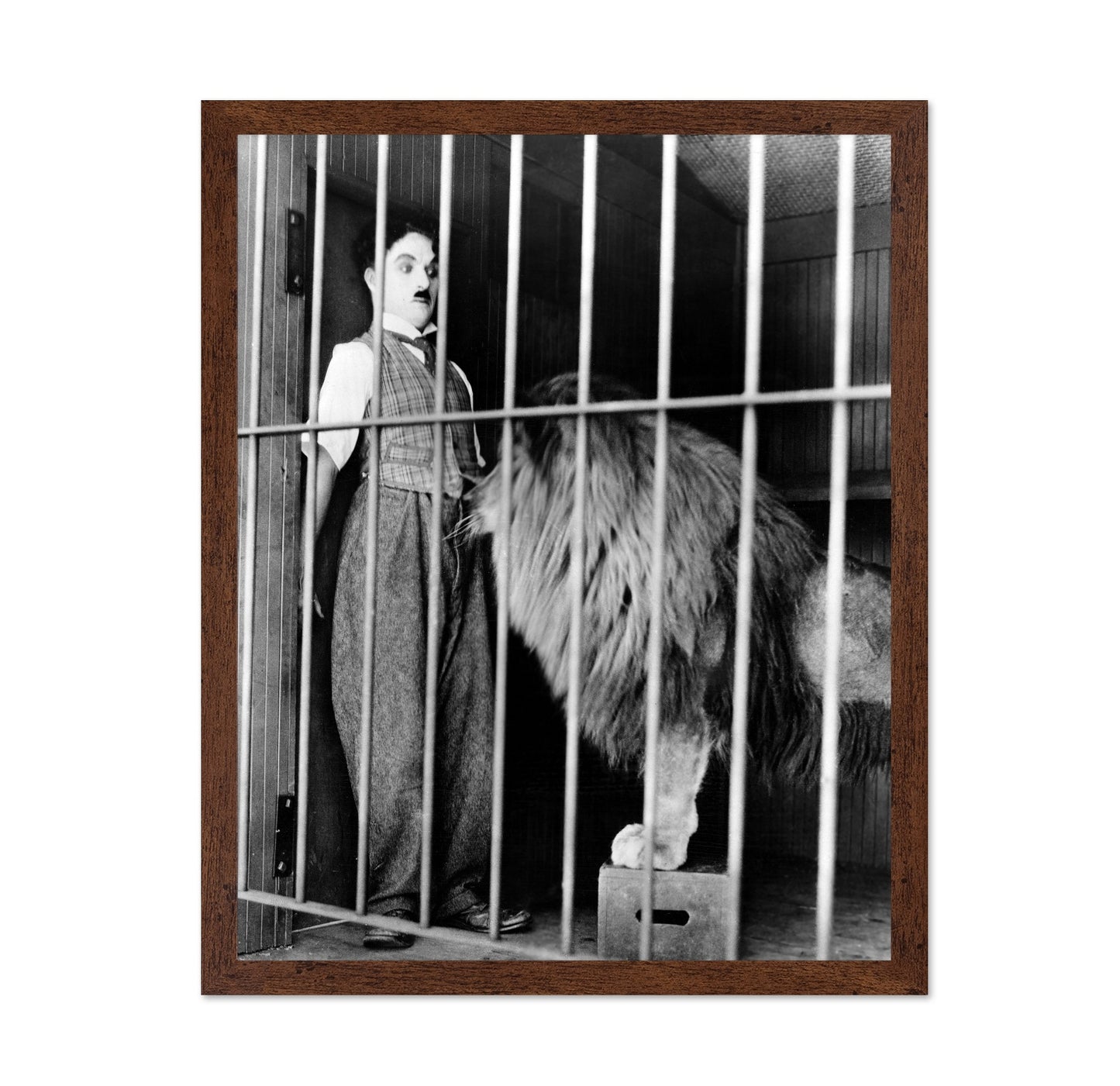 The Circus 1928 Charlie Chaplin