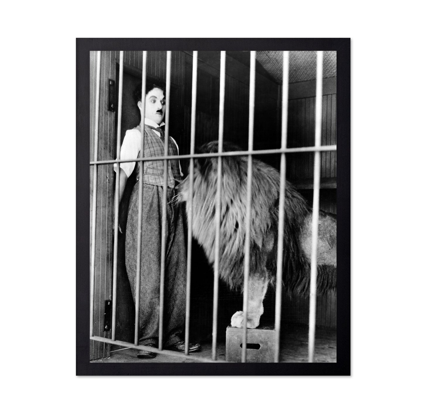 The Circus 1928 Charlie Chaplin