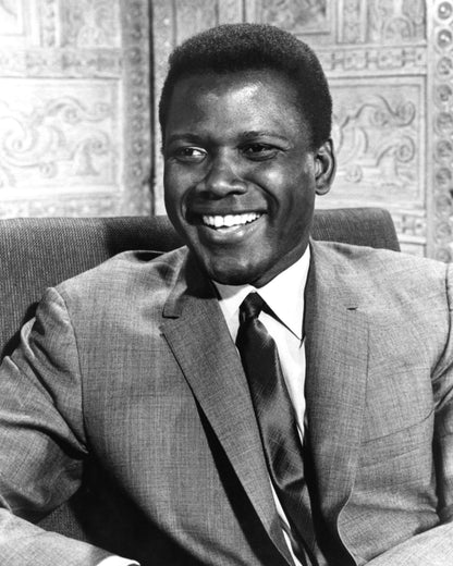 A Patch of Blue 1965 Sidney Poitier