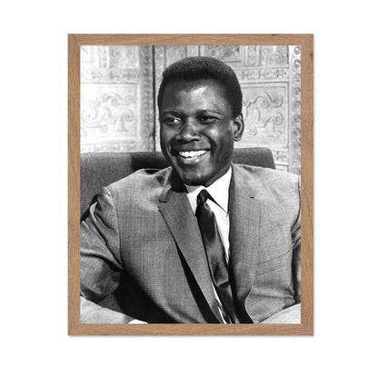 A Patch of Blue 1965 Sidney Poitier