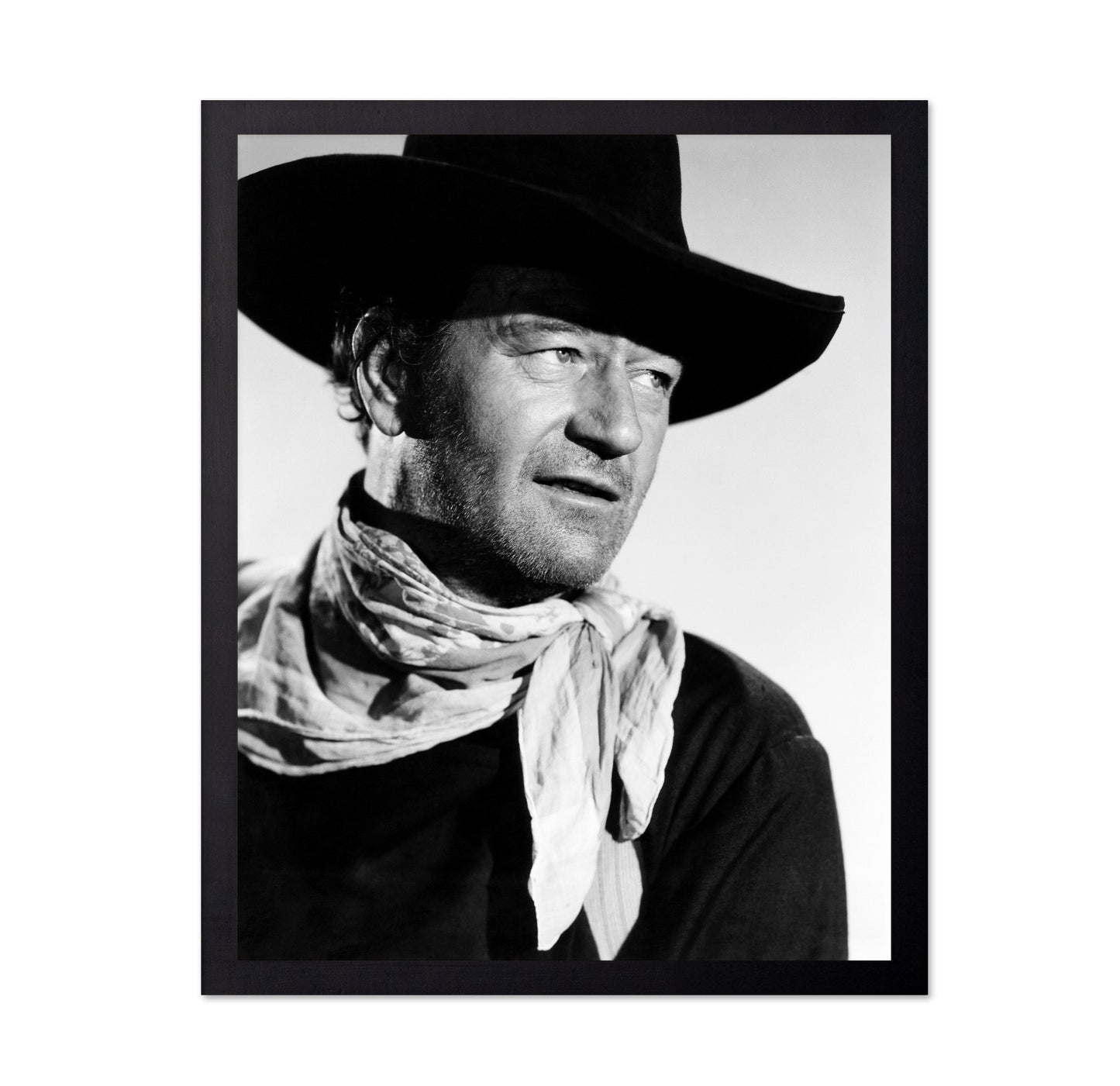 The Searchers 1956 John Wayne No8